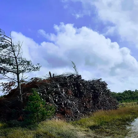 6 Person In Oksbol-by Traum Vakantiehuis